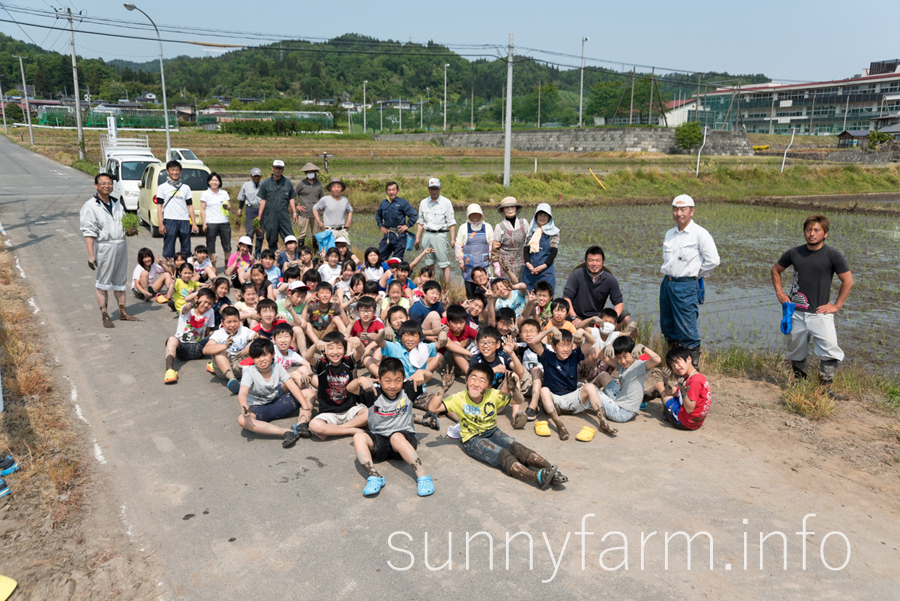 平成28年度、田植えを行いました